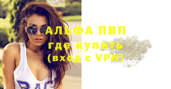 спиды Покачи