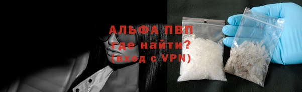 спиды Покачи