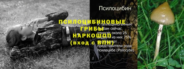 мефедрон Карпинск