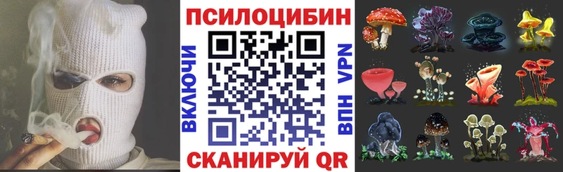 Псилоцибиновые грибы Cubensis  hydra как зайти  Поворино  купить  